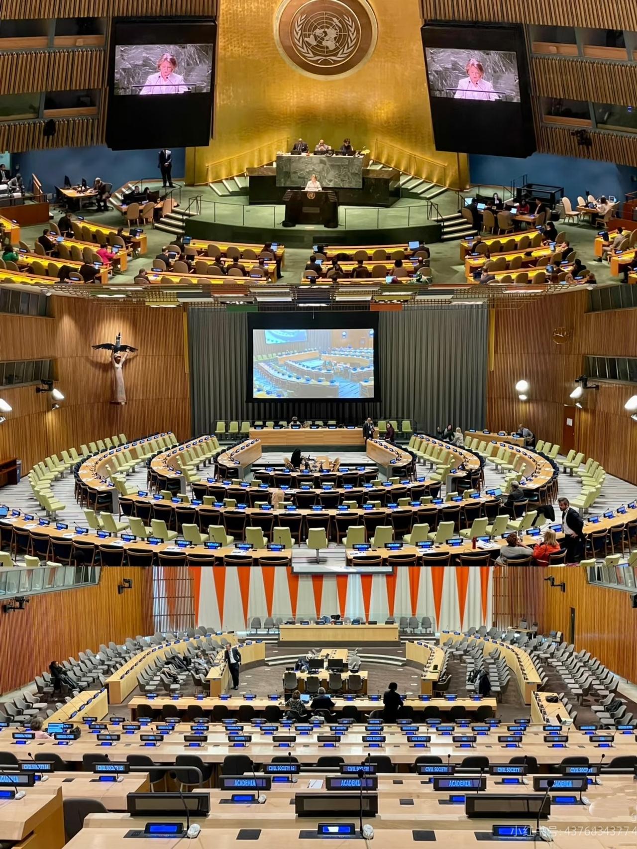 联大名场面！朝鲜代表"贴脸开大"，日本的遮羞布被当众撕碎
 
第80届联合国大会