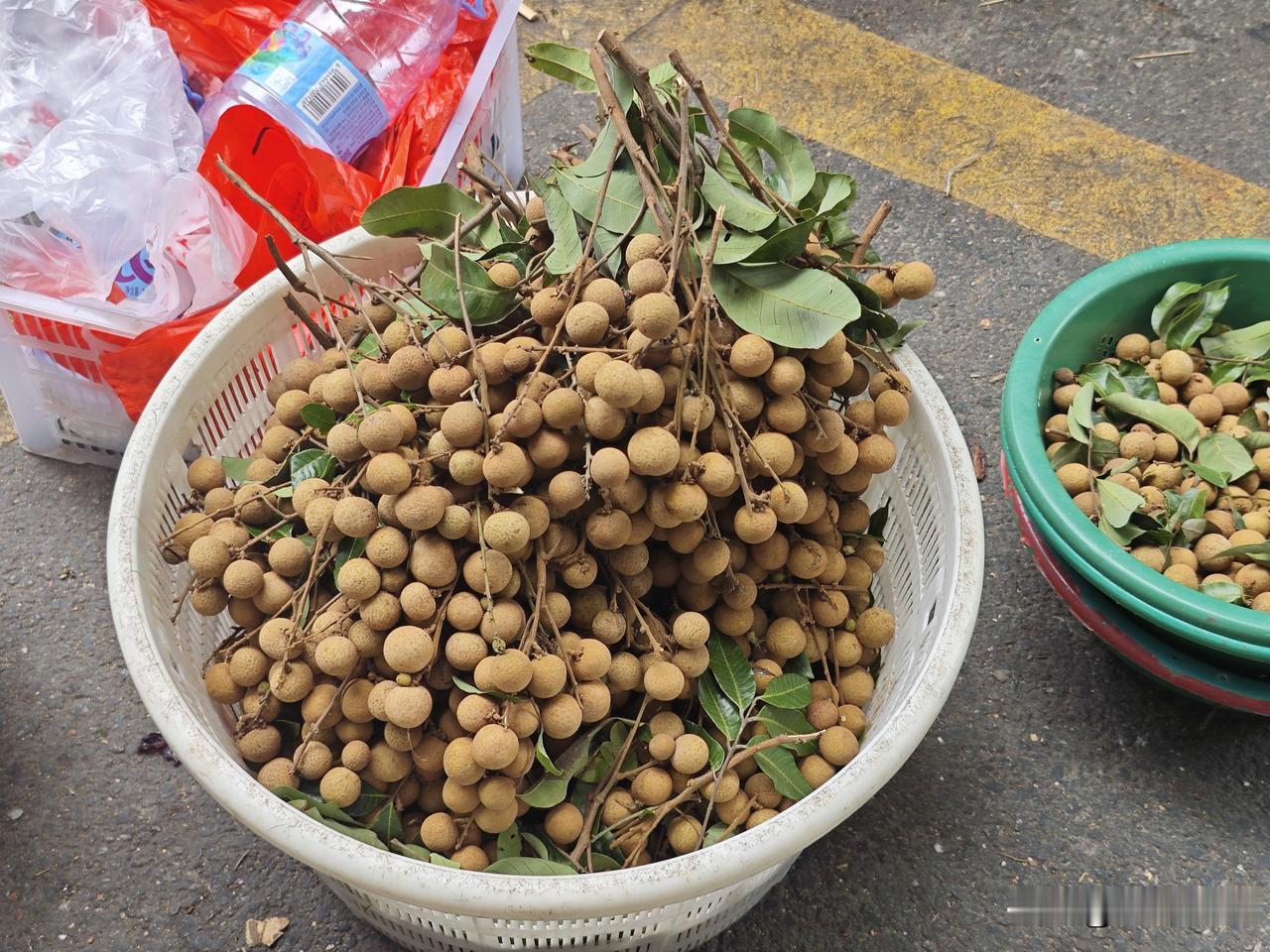 福州菜市场，夏日里的水果都是爱吃的，又新鲜香甜。
