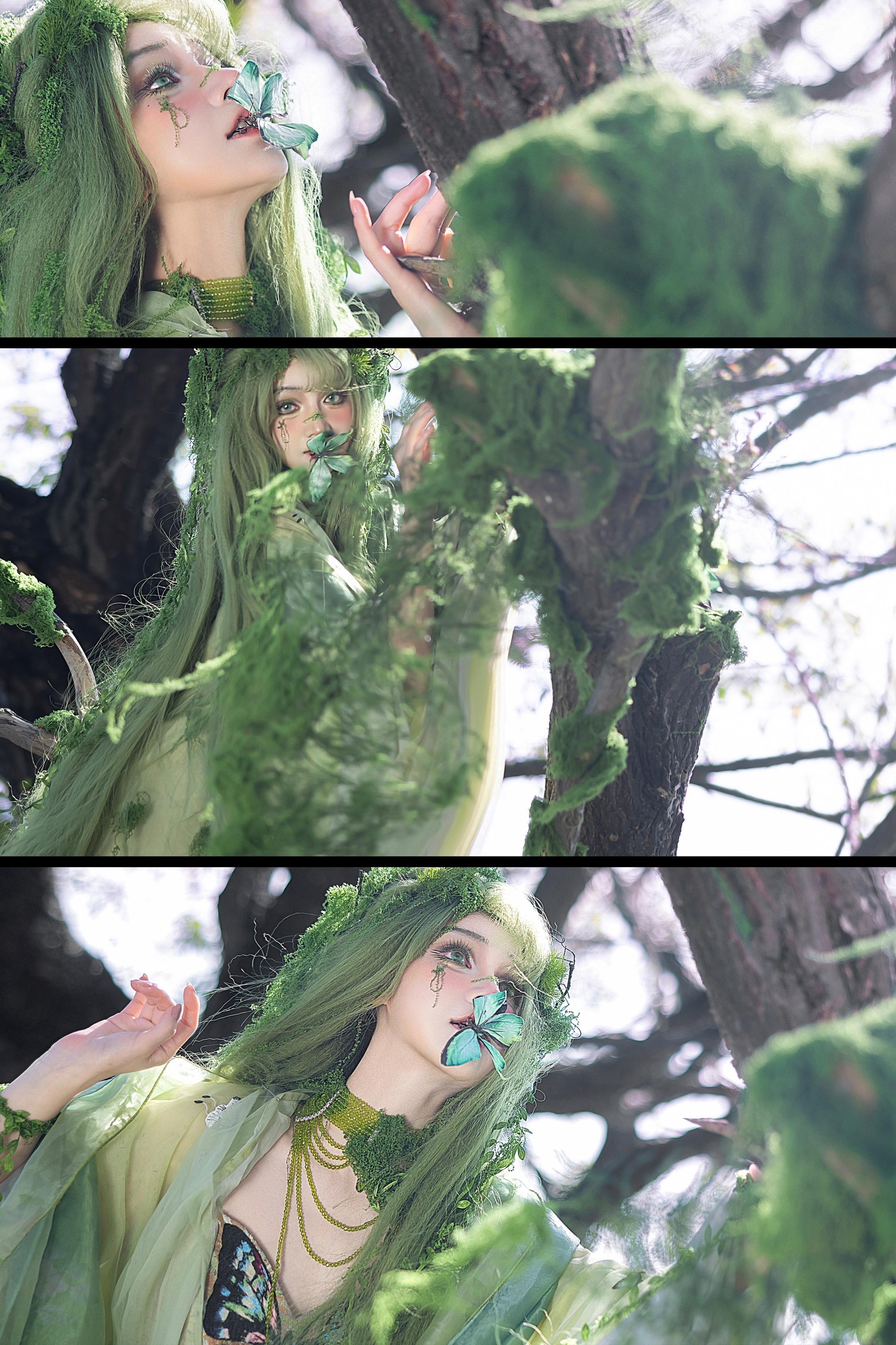 ‘ 潮湿的绿意 ’