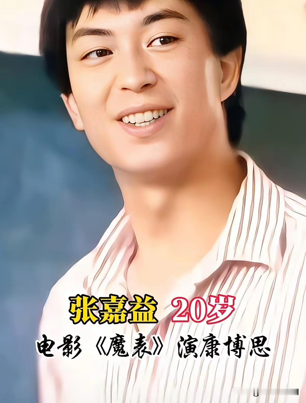见过少年意气，
尝过人世沧桑，
方能把每个平凡人演得入木三分。张嘉译