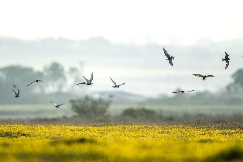 该图示是以人的手和脚为上下一短一长的“二”字笔画，而以人的身体躯干为一个“|”笔
