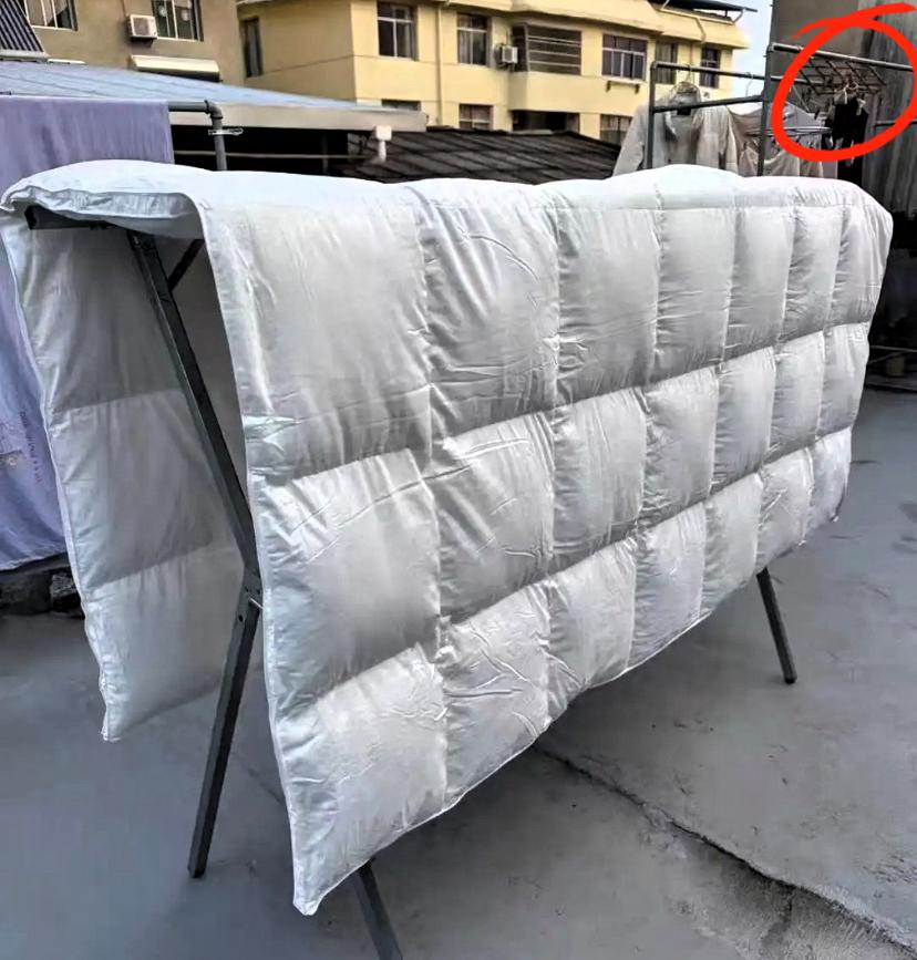 糠里长大的，
咽不下精米！
我把家里9件穿不了的旧羽绒服，
拿去改成床羽绒被，才