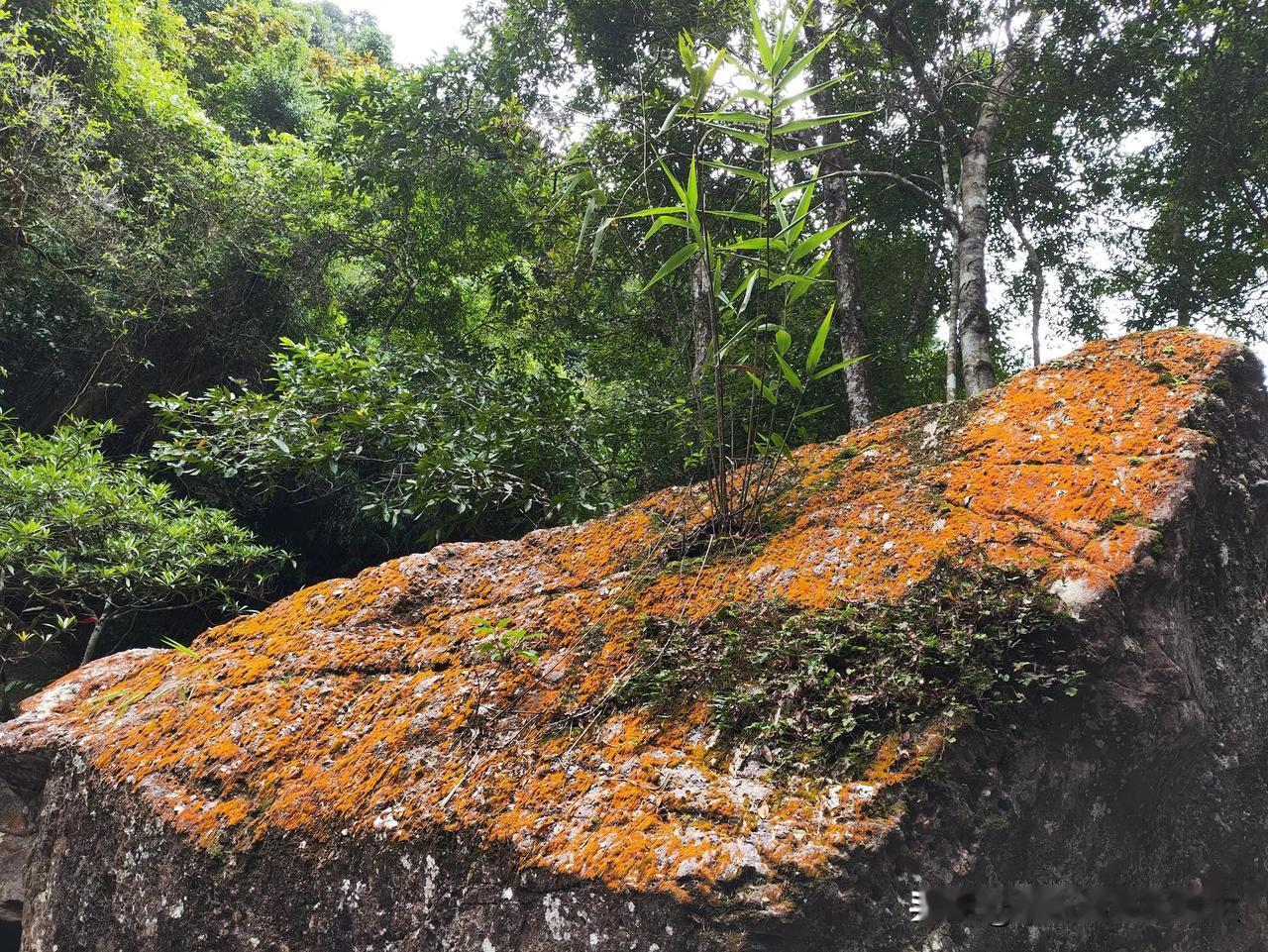 一个男人多方投诉我殴打他，
扬言要毁掉我的工作。
我听之惶恐，没工作了，我还能去