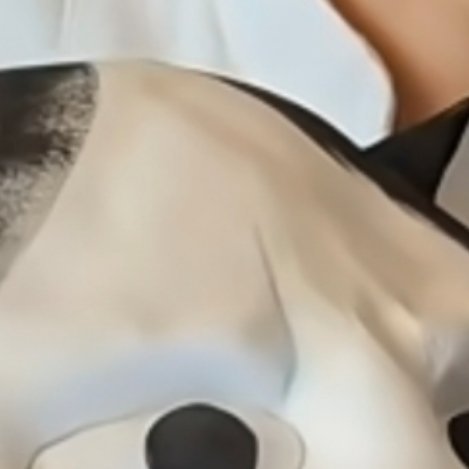 反虐待动物善是无声的语言，跨越地域与时空的界限，在人与人之间传递最本真的善意。它