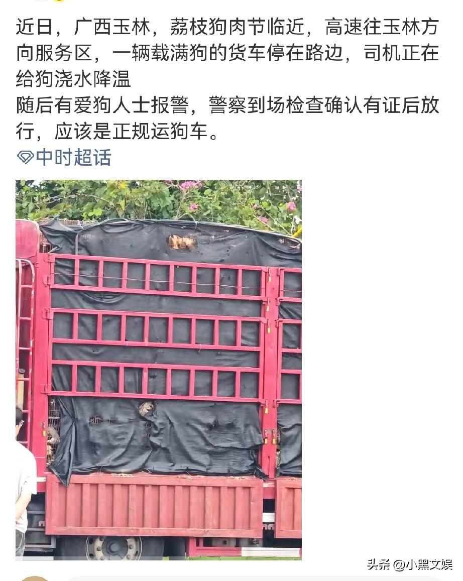 这事大家怎么看？