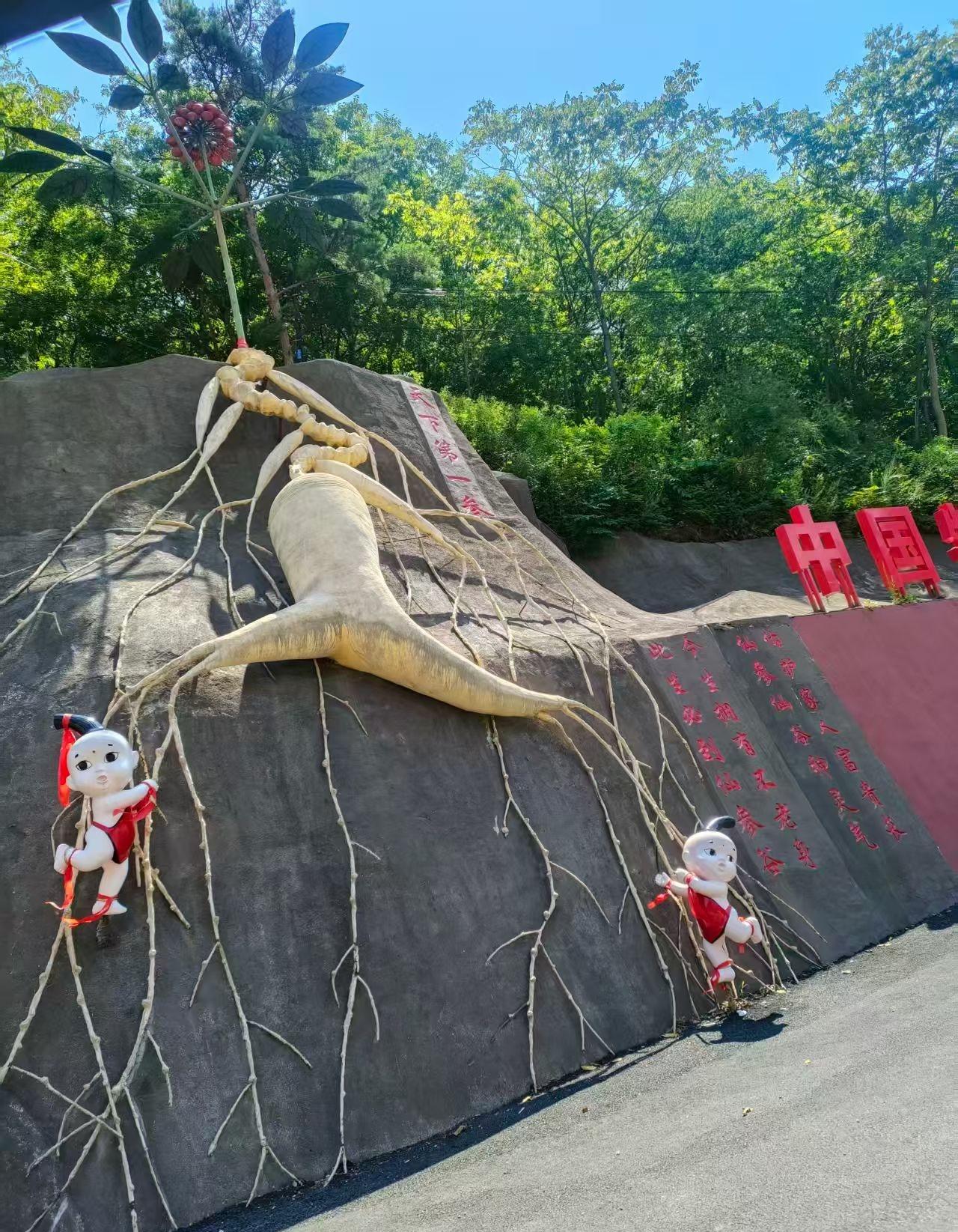 我不快乐。一直不快乐，如今更甚。精神病！无可救药了。

不懂得欣赏自己，非常讨厌