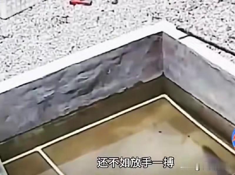 一个水池离河边不远，水池里养着鱼，一条黑鱼竟然跃出水池到了地上，在地上爬了几分钟