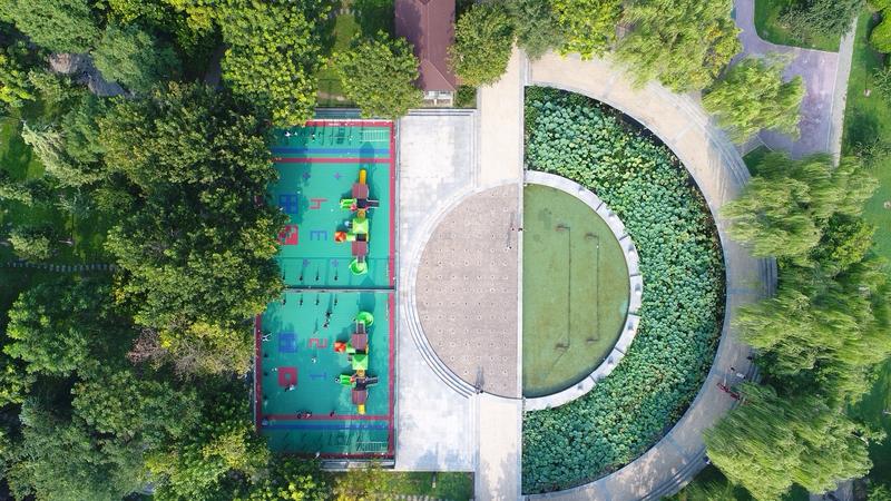董仲舒「三年不窥园」：专注力中的「守一」境界
汉儒董仲舒为研《春秋》，隔绝外物整