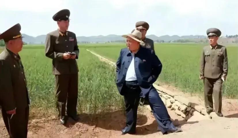 那边的小麦看起稀稀疏疏的。