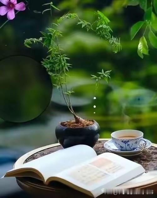 解决孤独的最好良药是什么学了一句骂人的话：[捂脸]瞧我这近视眼，差点把你看成个人