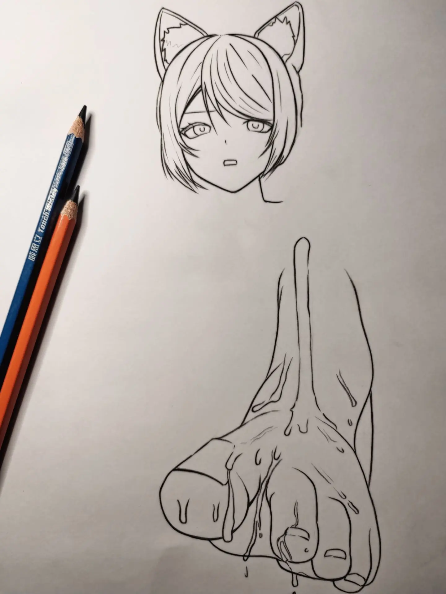 小贼猫… 手绘绘画工具：威思立炭笔