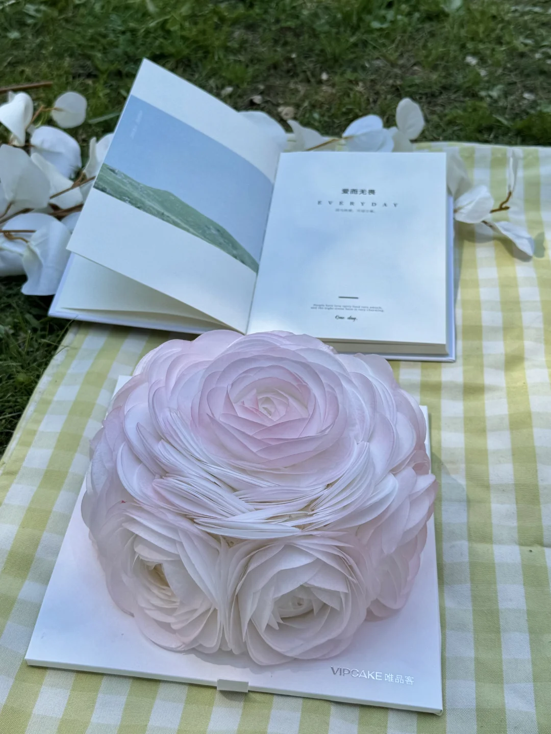 带婆婆“私奔”去野餐！重要的日子，爱意要超标