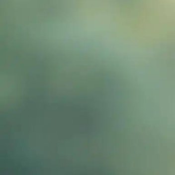 正能量正能量 不要因为去迁就其他的人，从而使自己受到委屈，在这个世界上，并没有多