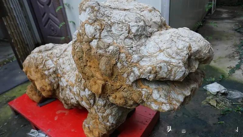 钱再多，不如健康重要，这句话看似简单，却直戳人心。我们常说“有钱能买来幸福”，但