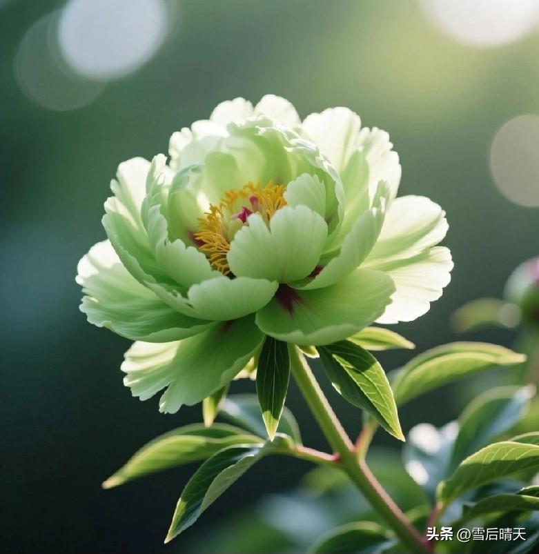 喝农药误打误撞竟能治好绝症！
你相信吗？
今天堂哥来我们家串门聊天，刚开始聊天内