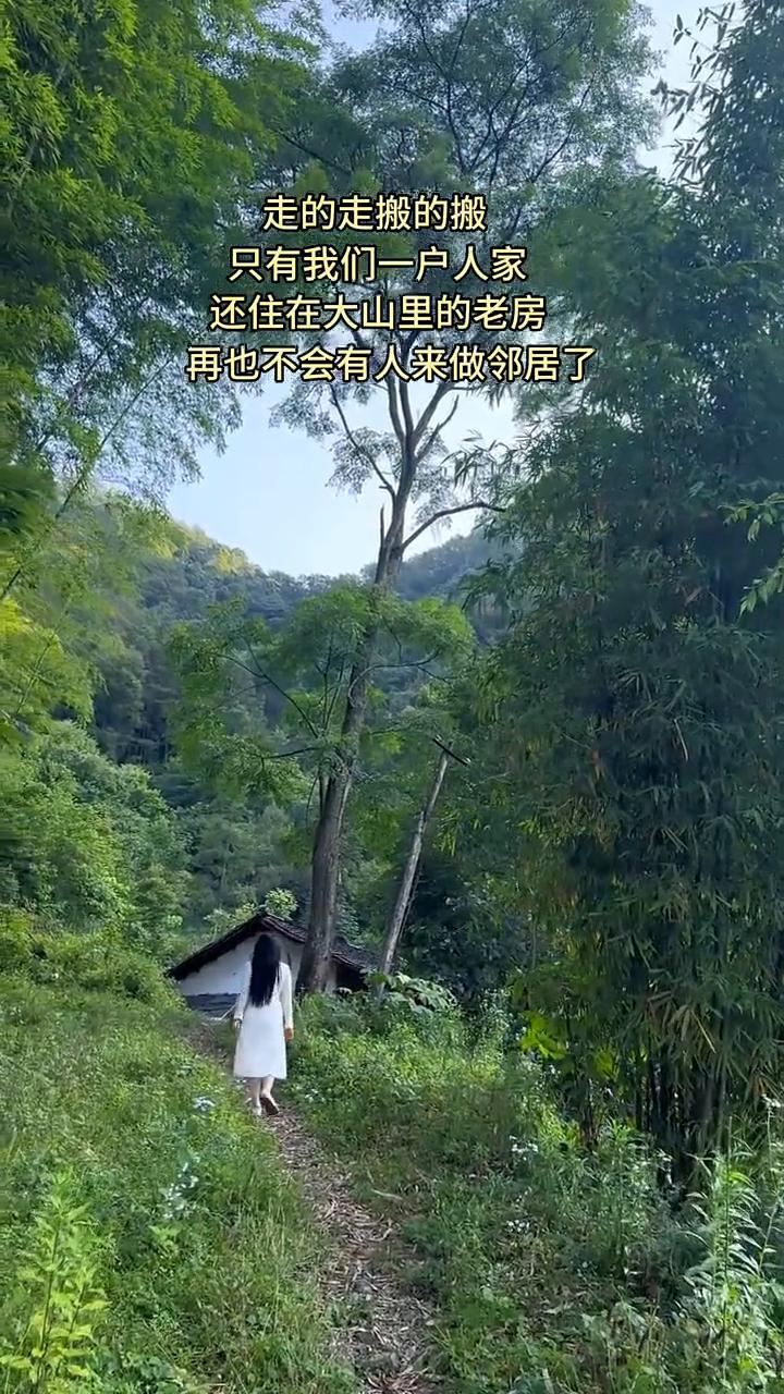 走的走，搬的搬，只有我们一户人家还住在大山里的老房，再也不会有人来做邻居了。