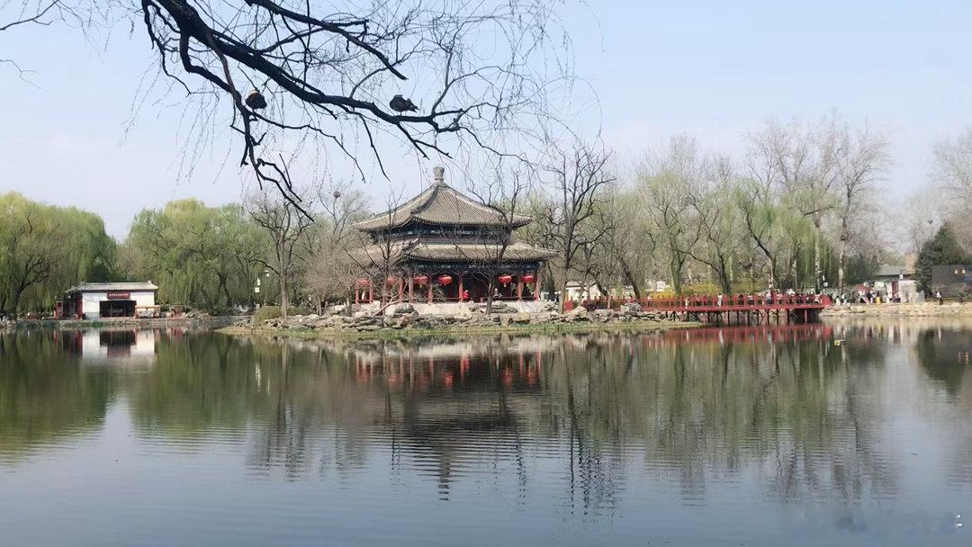 情感博主上线：先学会生活，再学会平和 