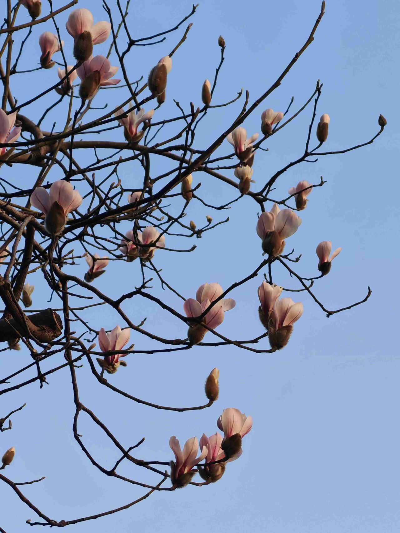 我的今日状态：😁轻松愉快
我这里的天气：☀️晴天