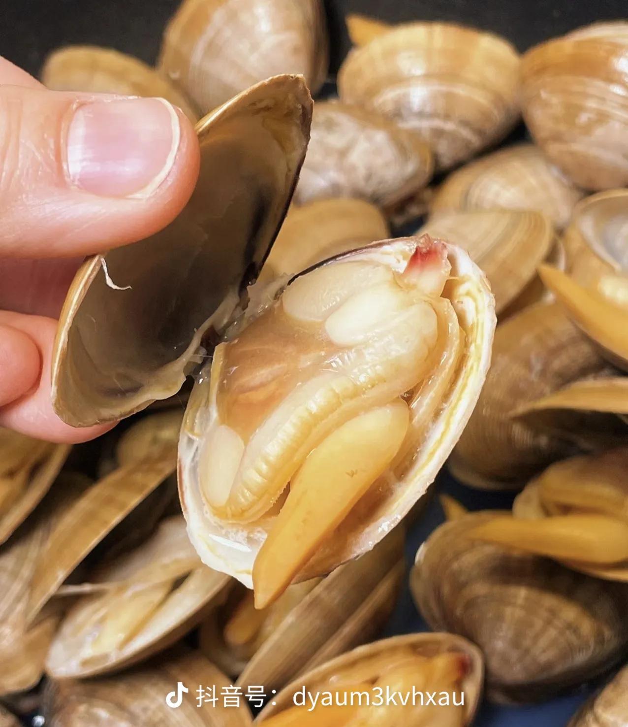 丹东美食攻略
家人们！都知道丹东黄蚬子老出名了吧！
但凡你在丹东自由市场，买到那