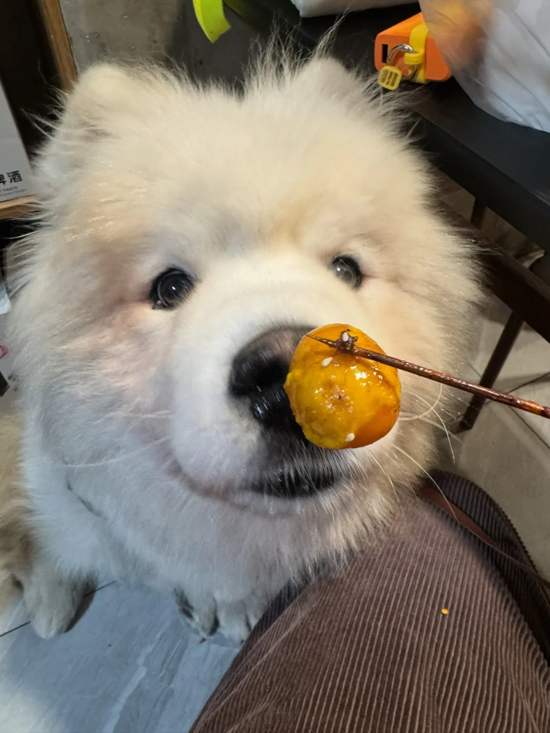 😅斯密马赛这难道是？？？