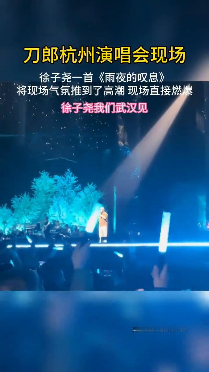 刀郎杭州演唱会现场，徐子尧一首《雨夜的叹息》将现场气氛推到了高潮，现场直接燃爆。