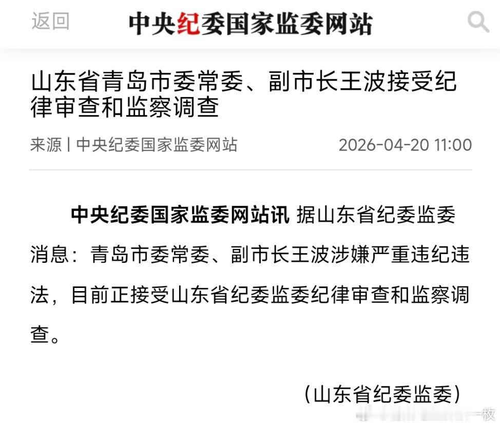 青岛市委常委、副市长王波接受审查调查！ 