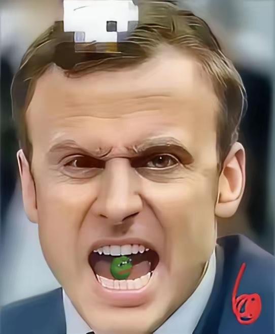 访华3天就翻脸 马克龙喊着对华加税 欧洲顶得住反噬吗

12月7日 马克龙访华刚