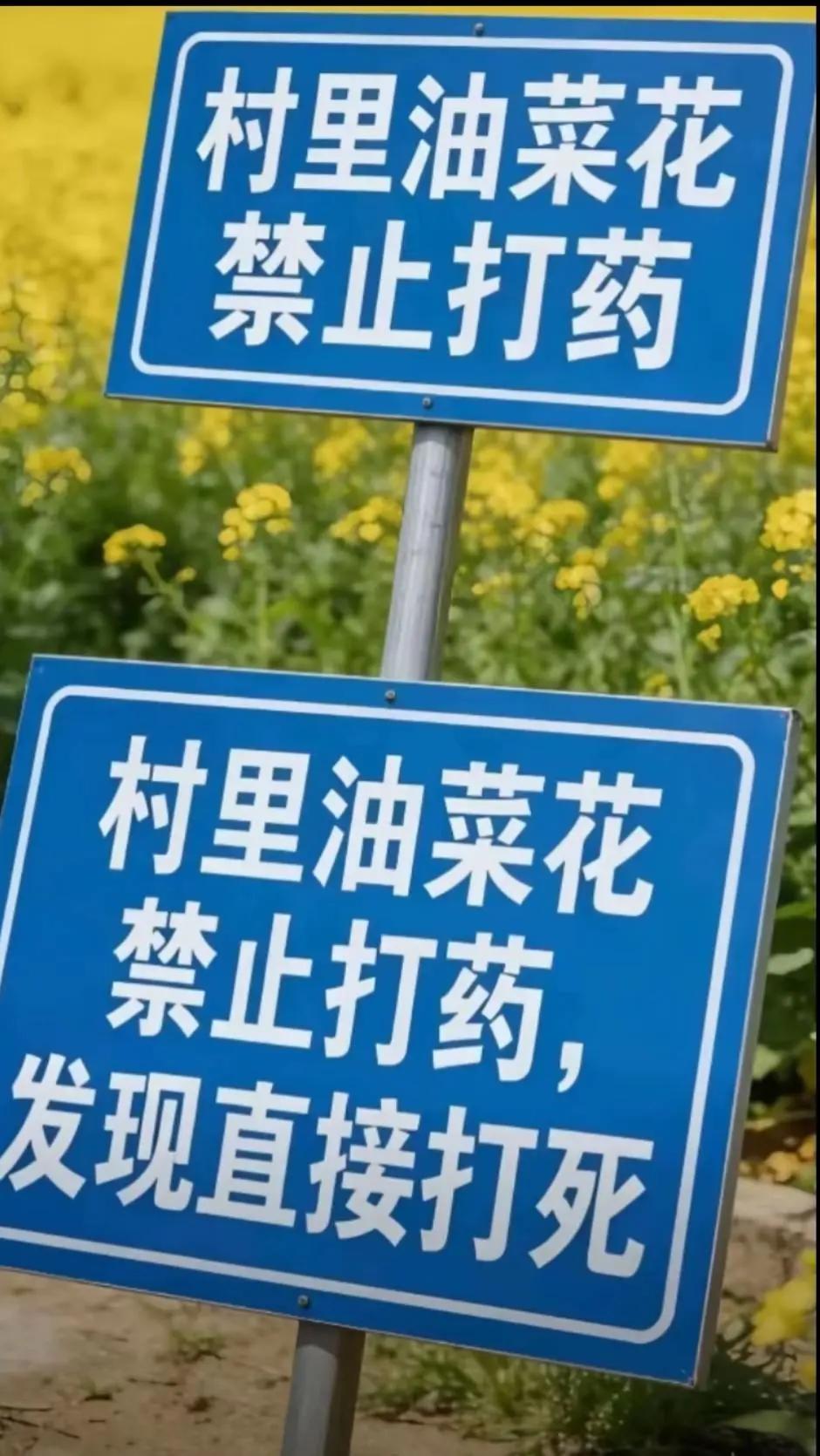 为什么打农药？