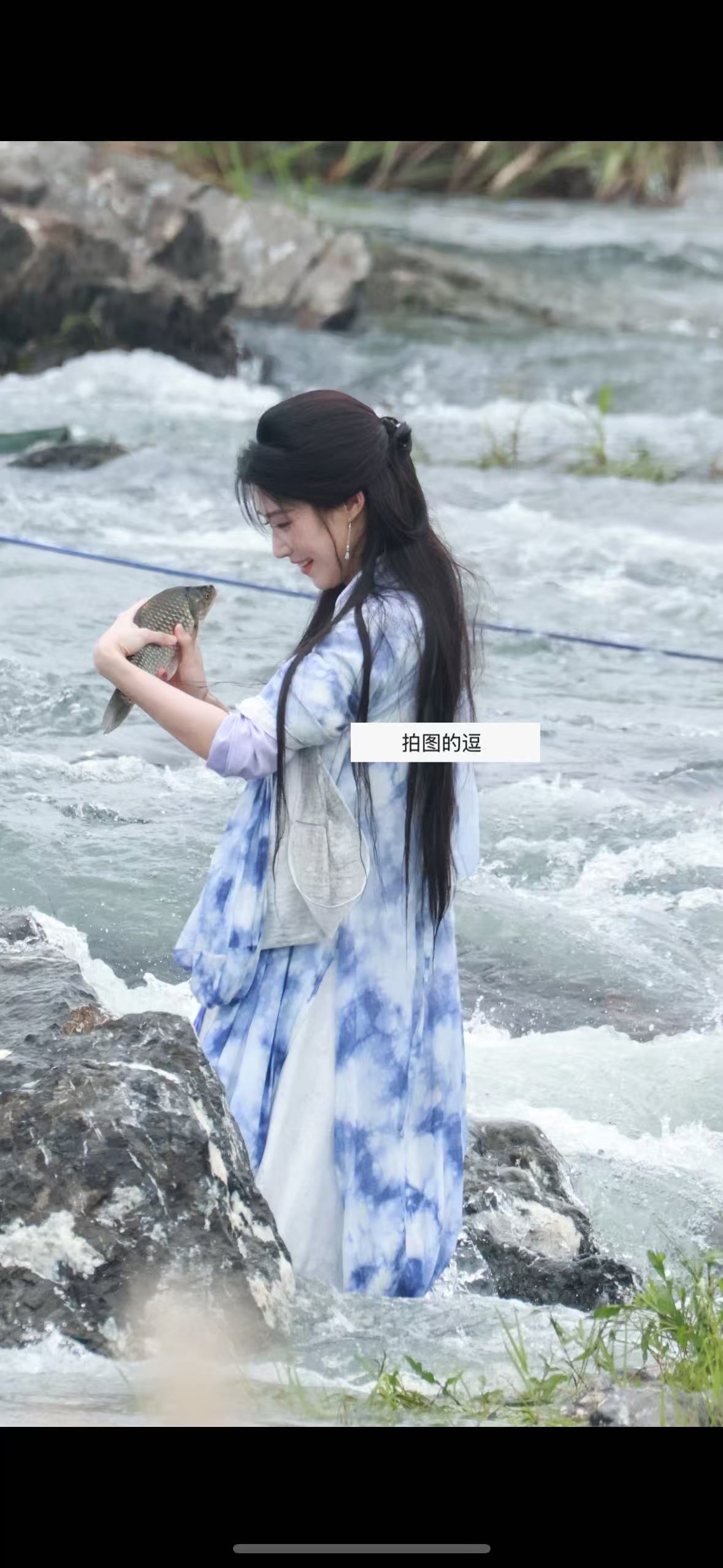 两只小鱼对视中 
