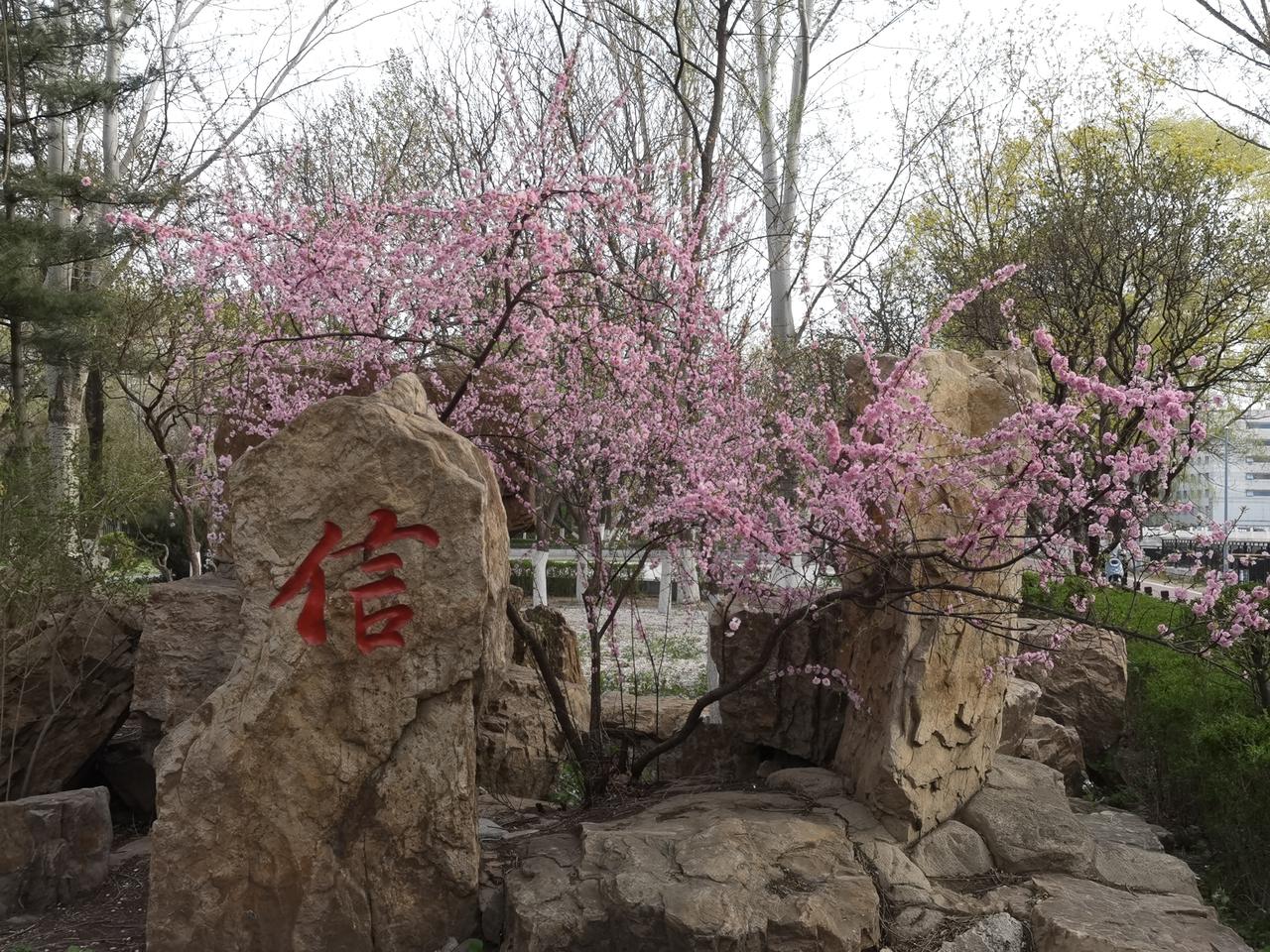 漫步沈阳——北运河畔博雅园