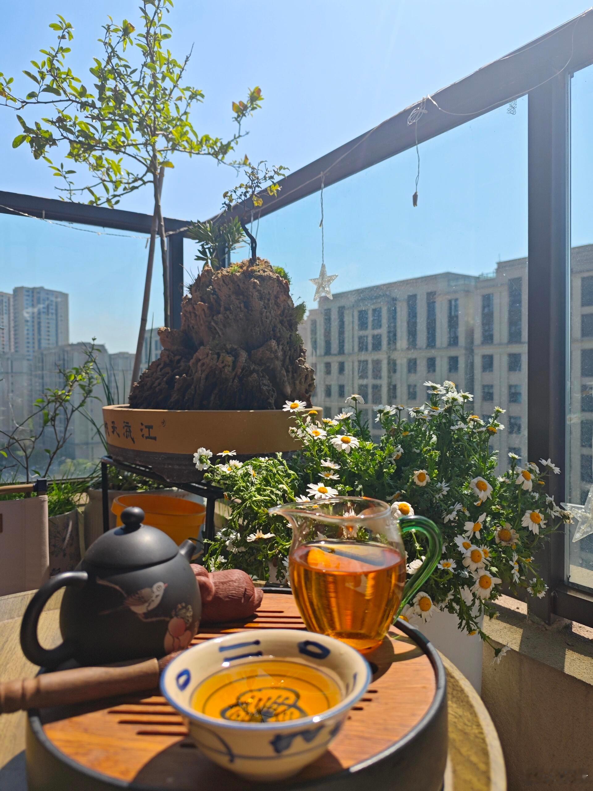 露台喝茶的一天🍵 ​​​