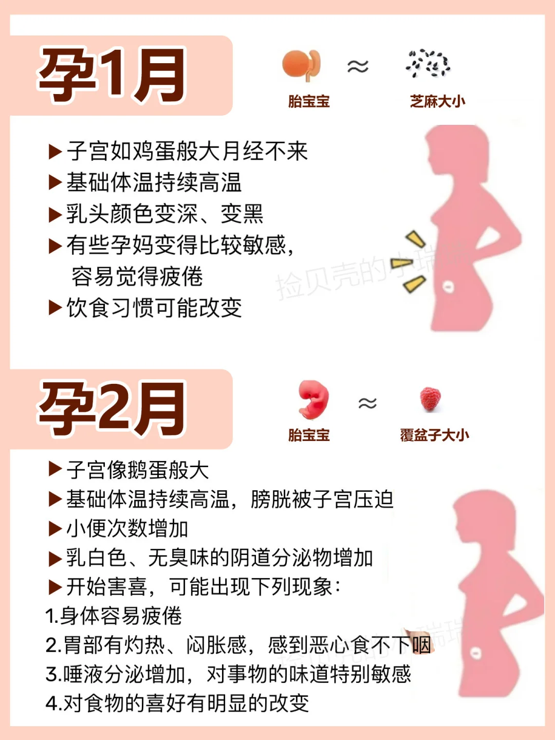 怀孕后每个月身体变化！哪个月要小心？