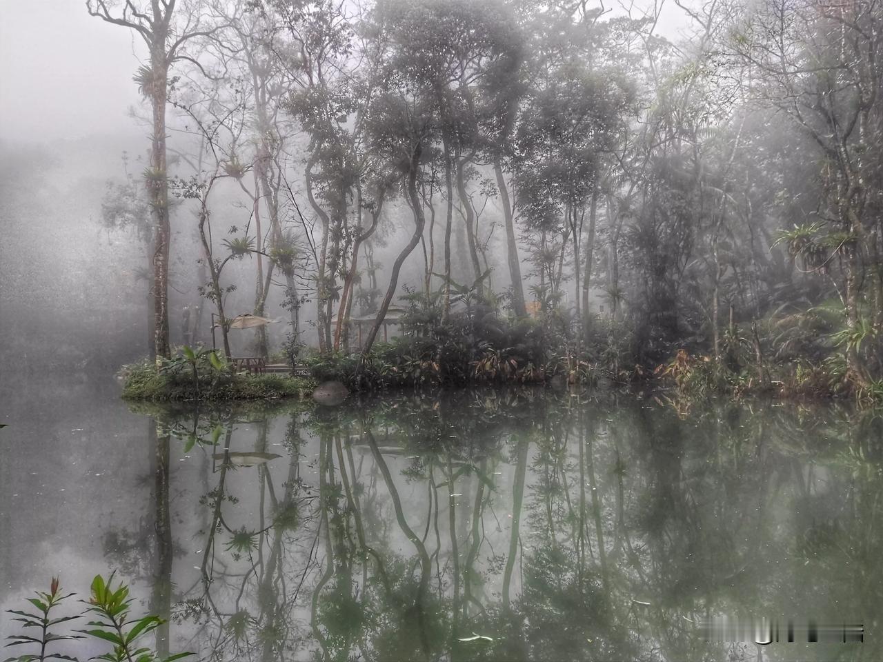 海南的山爬多了
难免有雷同之感
热带雨林郁郁葱葱的样子
基本是众山的标配

下次