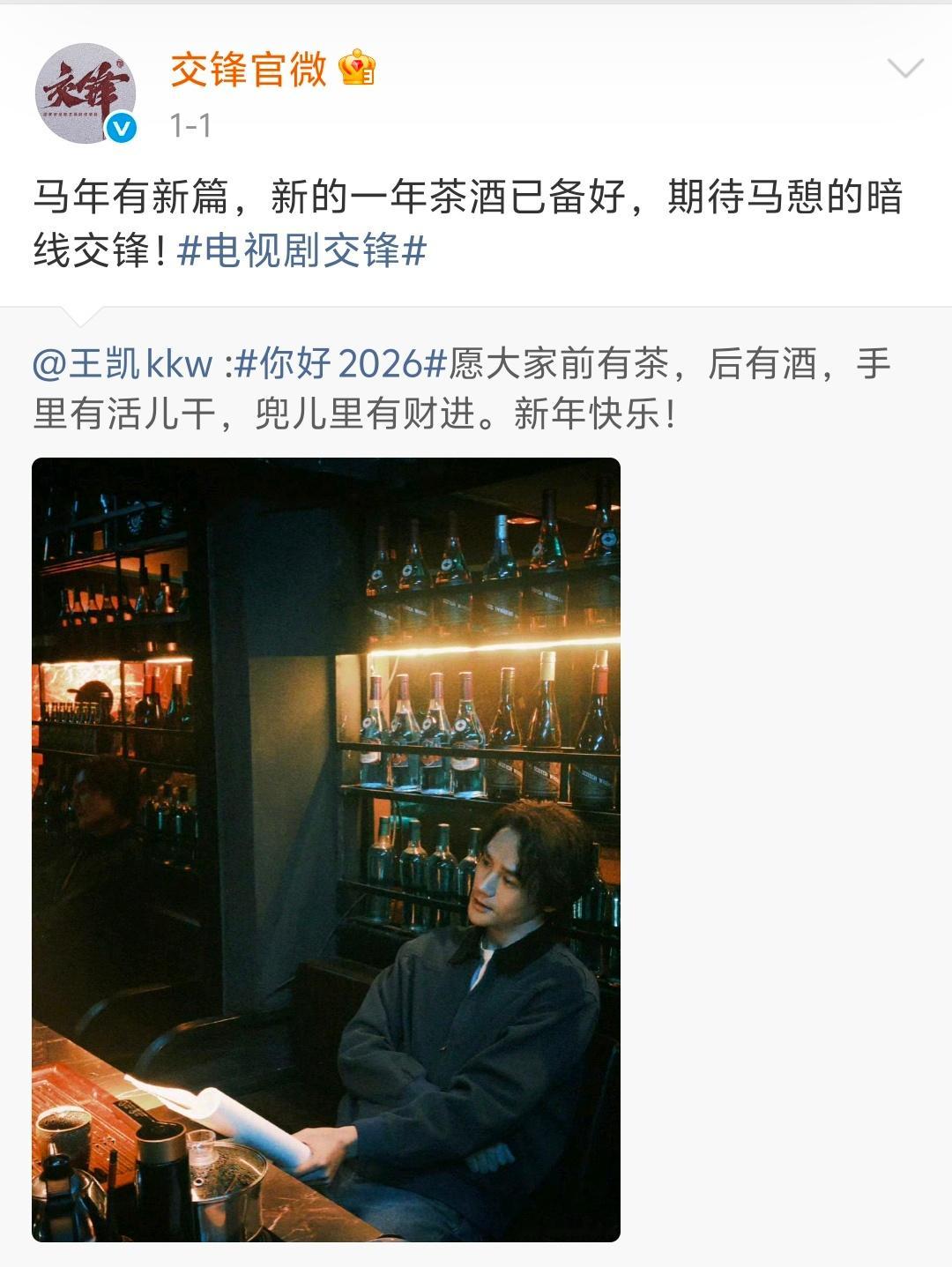 王凯这次是卧底还是挑战反派（？）一番上星的话后者应该不太行吧（？）🧐体感拍了好