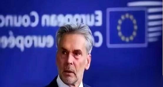 荷兰放话要“硬抢”稀土这事儿，可笑就可笑在，话音刚落，自家命根子阿斯麦就先撑不住