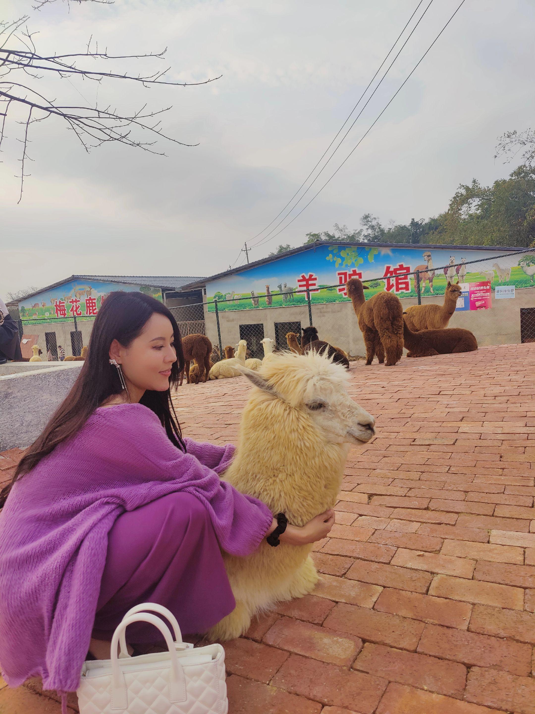 都说女人多少岁，心里依然是少女，曾经我也是，只有在经历一些不好，突然间...