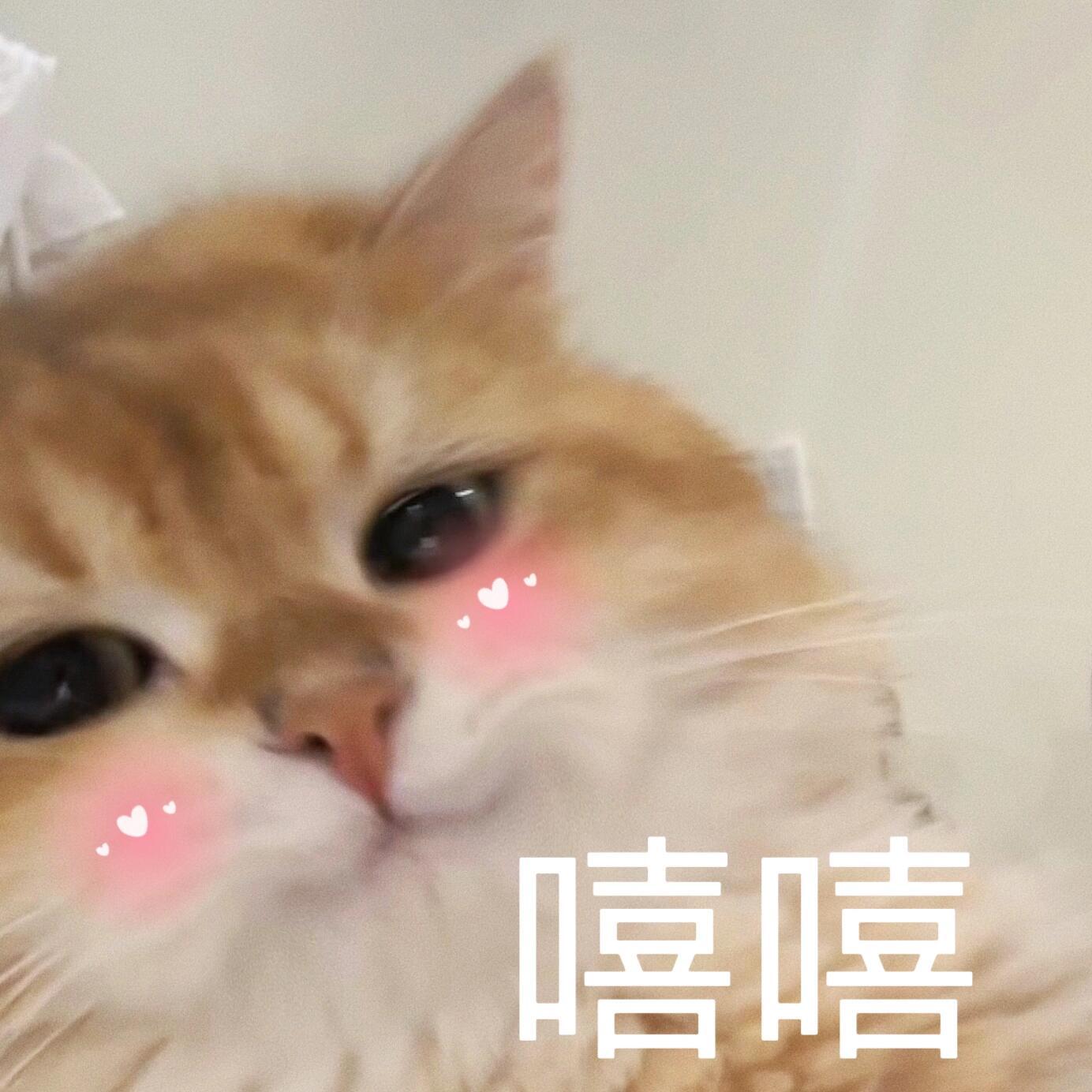 吴宣仪wxy吴宣仪雾茫茫 哇塞！咱们超喜欢过了万之后又到了一个小整数！这太厉害了