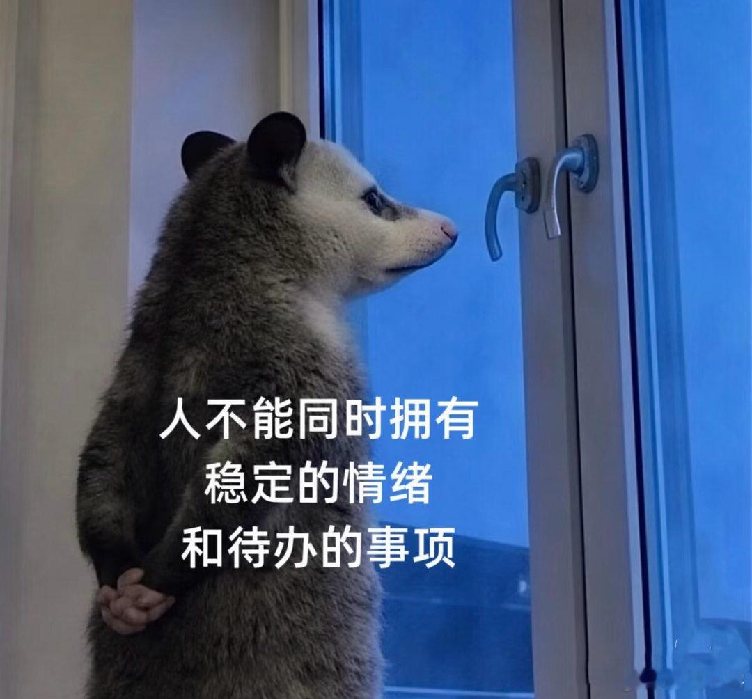 同事跳槽公司找了七个人替岗我毕业后的第一份工作，带我的老员工同时教我们两个实习生