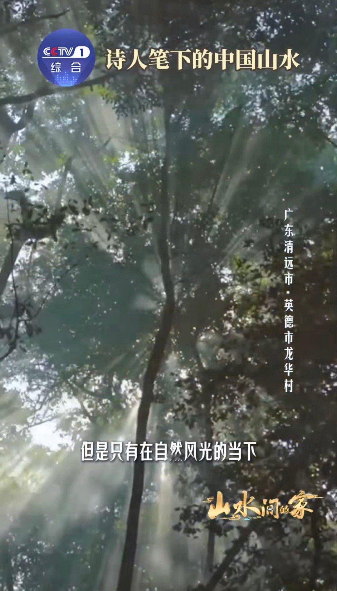 中国人用几千年给山水写诗面对中国山水古人全是诗张力 山水从不是沉默的风景，而是中