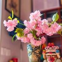 我的今日状态：😁轻松愉快
我这里的天气：☀️晴天
四月末，花开几许，小城甚是美