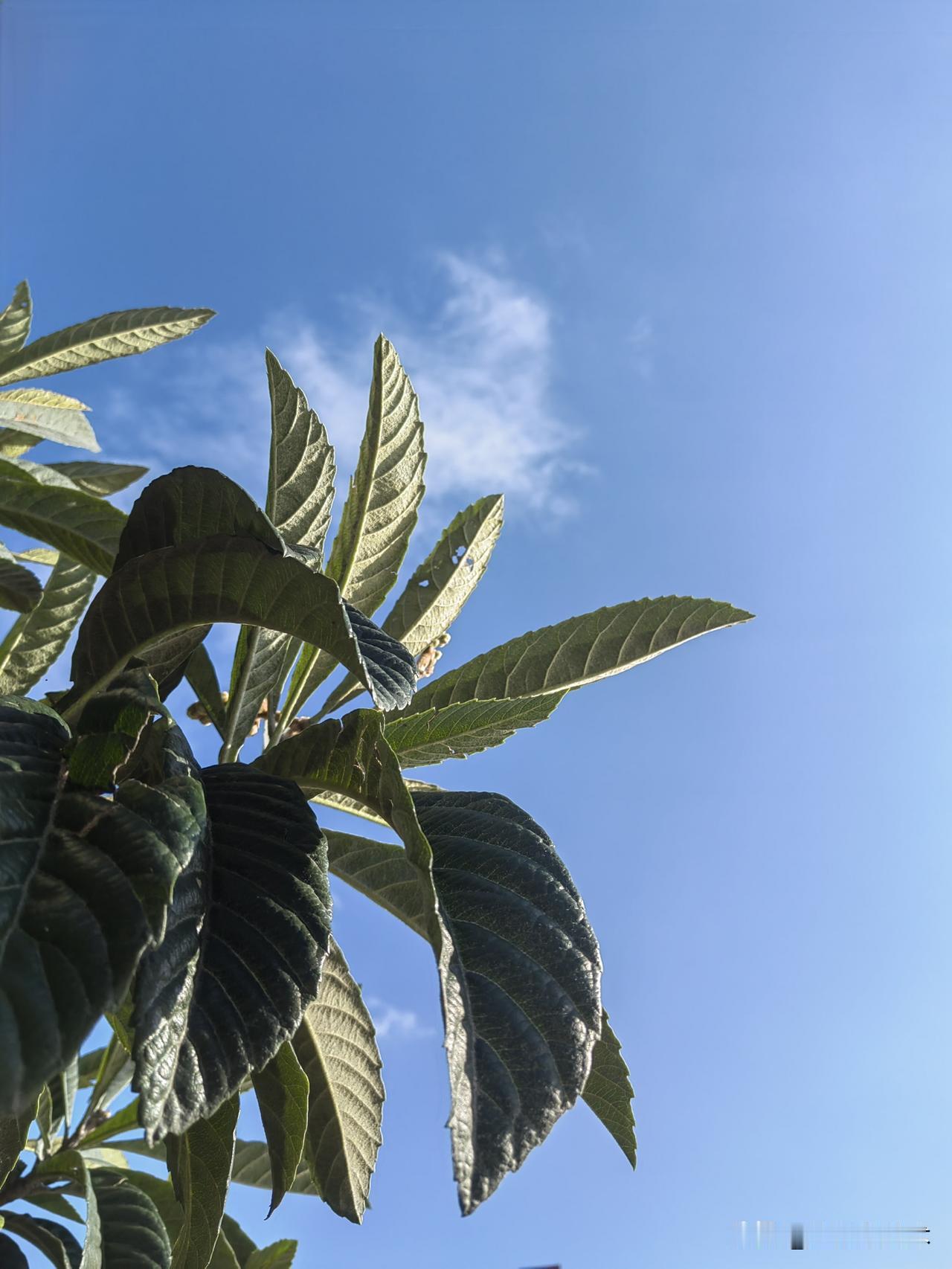 近日有几个诈骗电话打过来，一律不予理睬。现公布出来。
大家是不是也遇到这些诈骗电