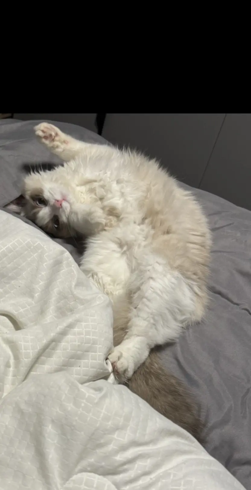 你离开巴彦淖尔市的那一天，带走了我所有的猪骨头绘酸菜，其实冰箱里还有点...