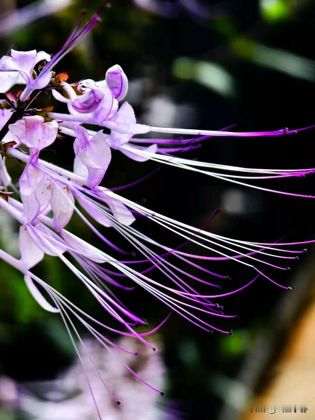 于燃情岁月演绎人生，在流年中知一场相遇，在清浅的时光里，不负韶华。便是“胸无器识