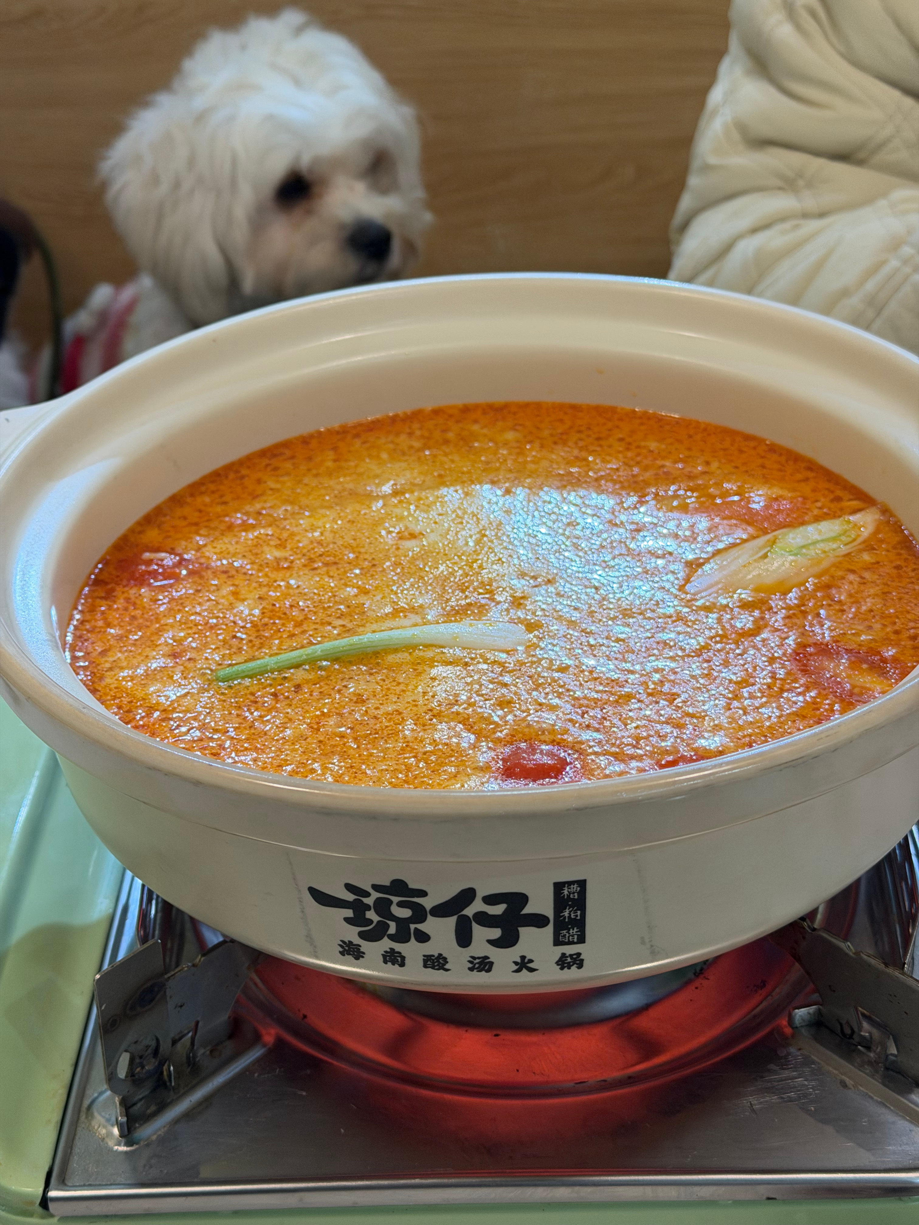 吃个饭 个人觉得糟粕醋比椰子鸡好吃太多啦！ 