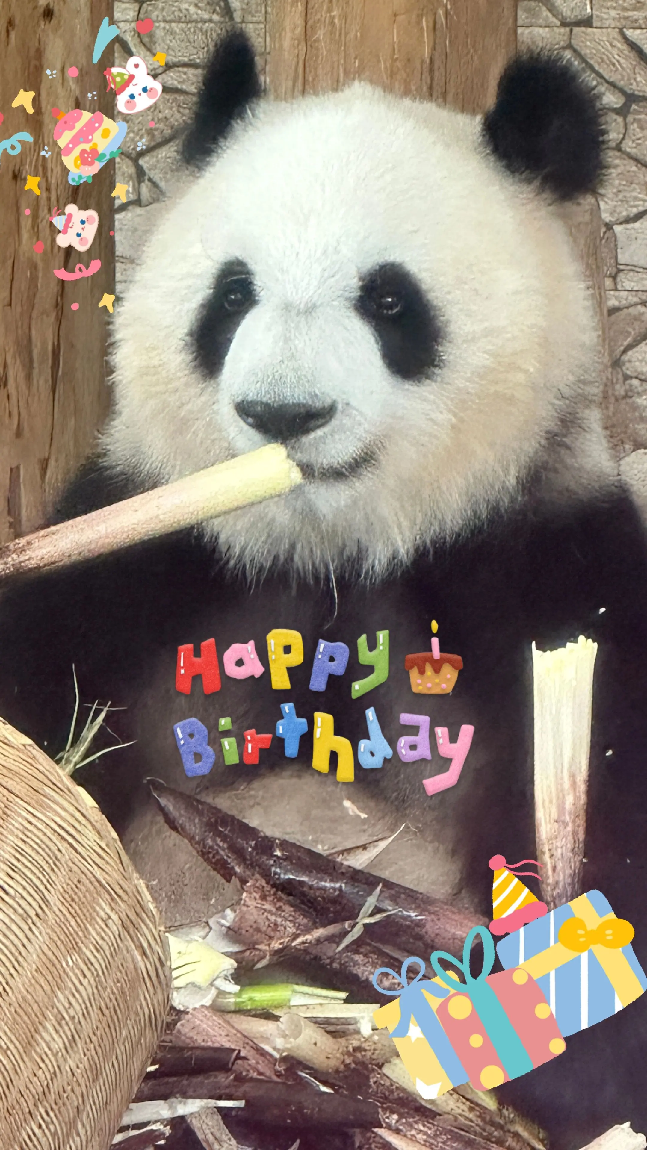 祝大美、绩美、绩兰生日快乐，健健康康。（都是美兰的孩子，同月同日生。）