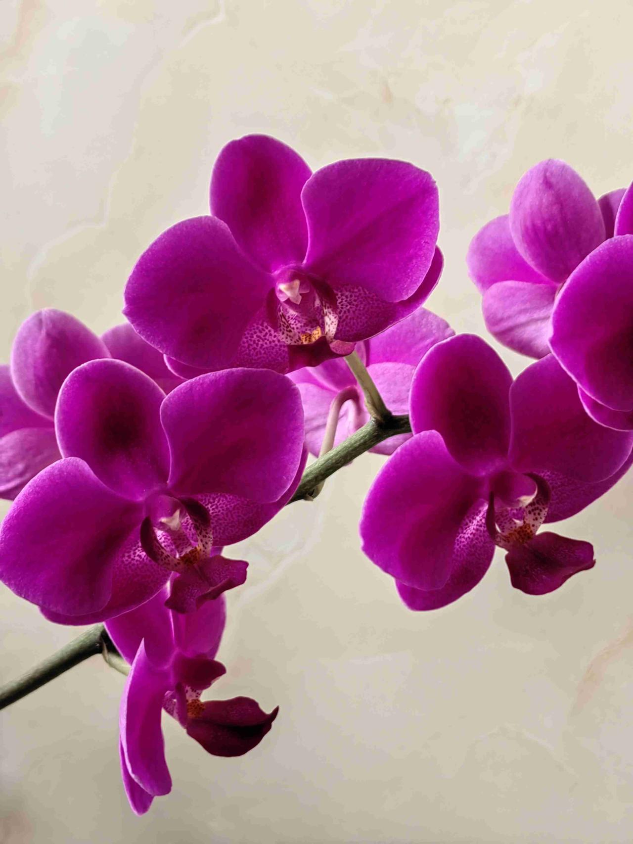 我的今日状态：😁轻松愉快
我这里的天气：☀️晴天