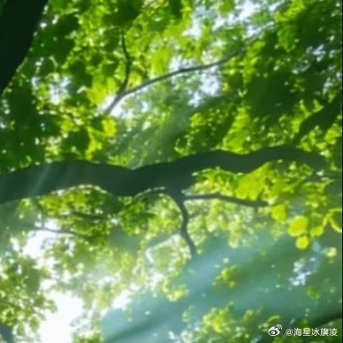心中不可少善，行事不可无善。人前不为恶易，独处不为恶难。任性妄为是恶，行止有度是