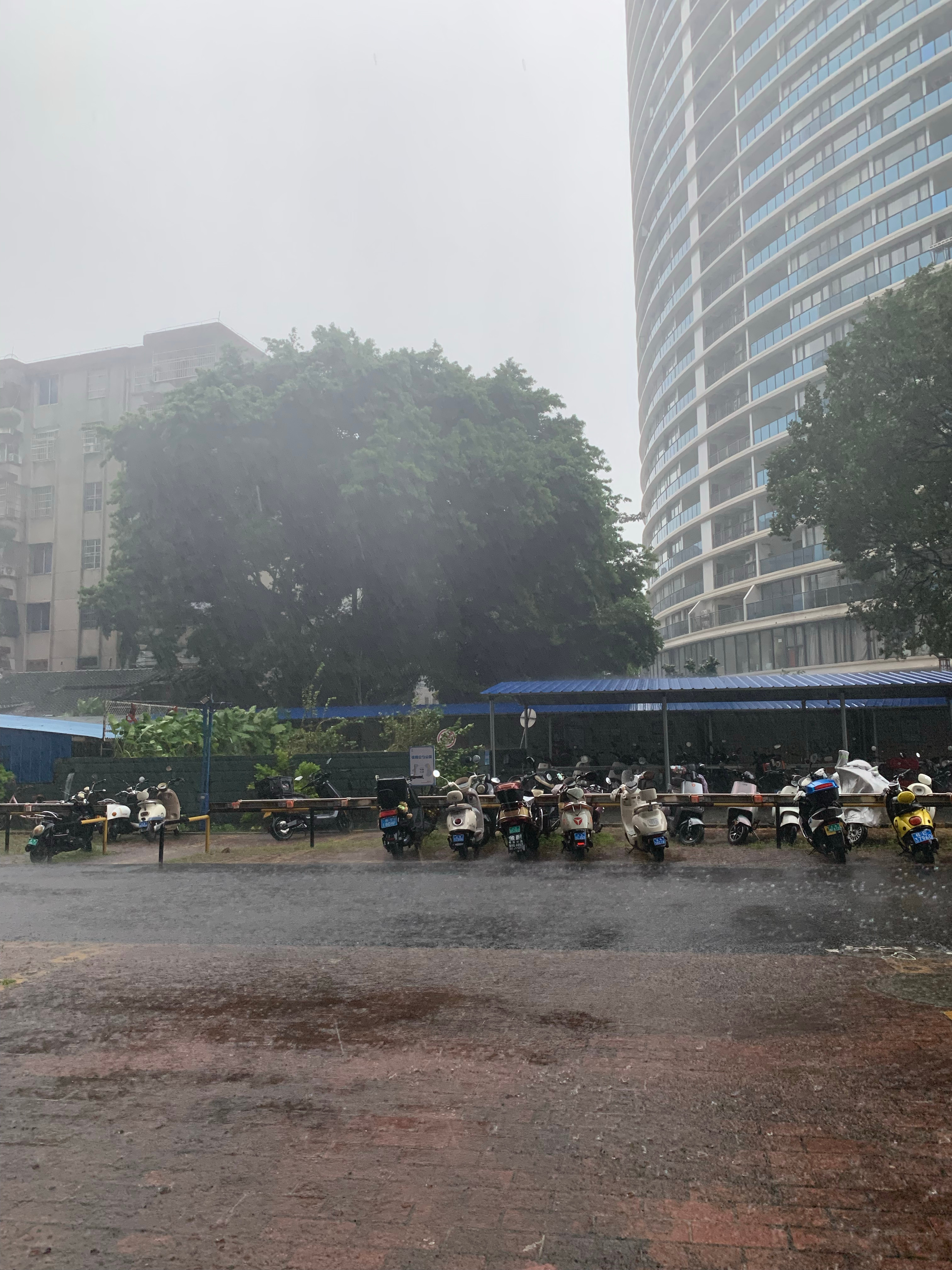 这场雨会不会下不完 ​​​