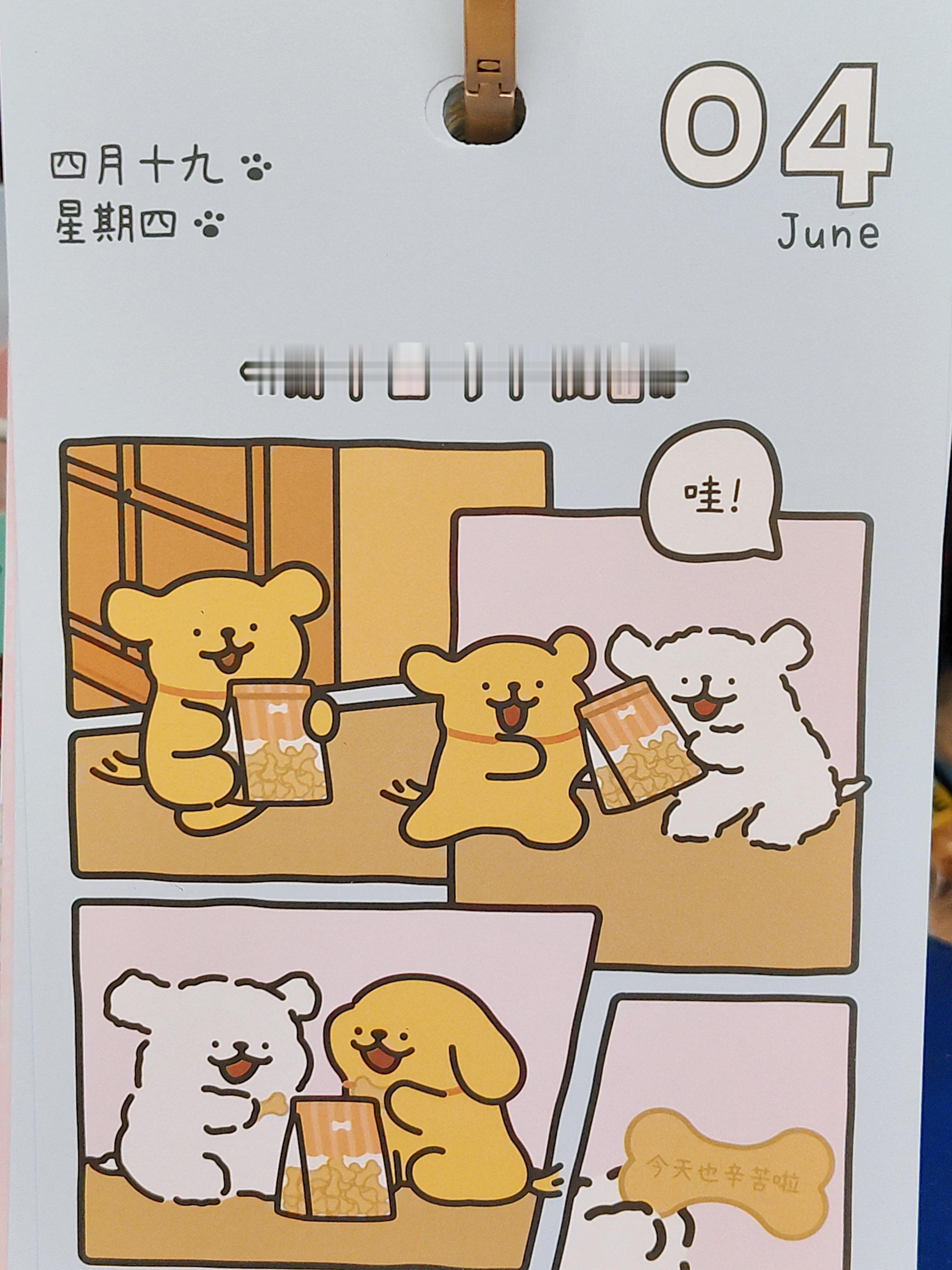 “今天也辛苦啦”lucky的碎言碎语