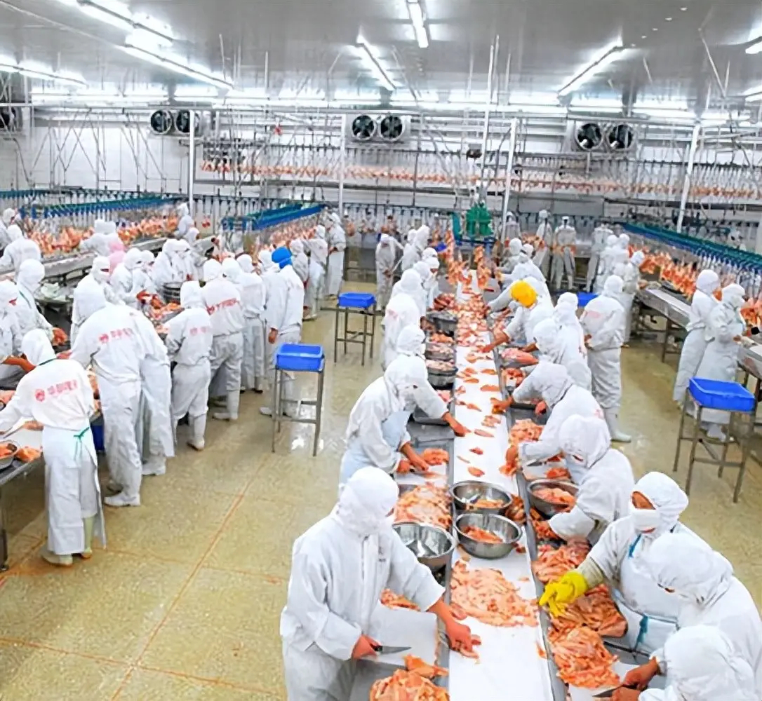 商场餐饮科普：连锁餐厅“去厨师化”扩张与中央厨房、预制菜前面介绍了商场餐饮走向全